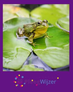 🐸 Kikker in je bil!

Wat kwamen er online leuke 1 april grappen voorbij! 

Heb jij 1 april grap uitgehaald of ben je er zelf ingetrapt? 👀