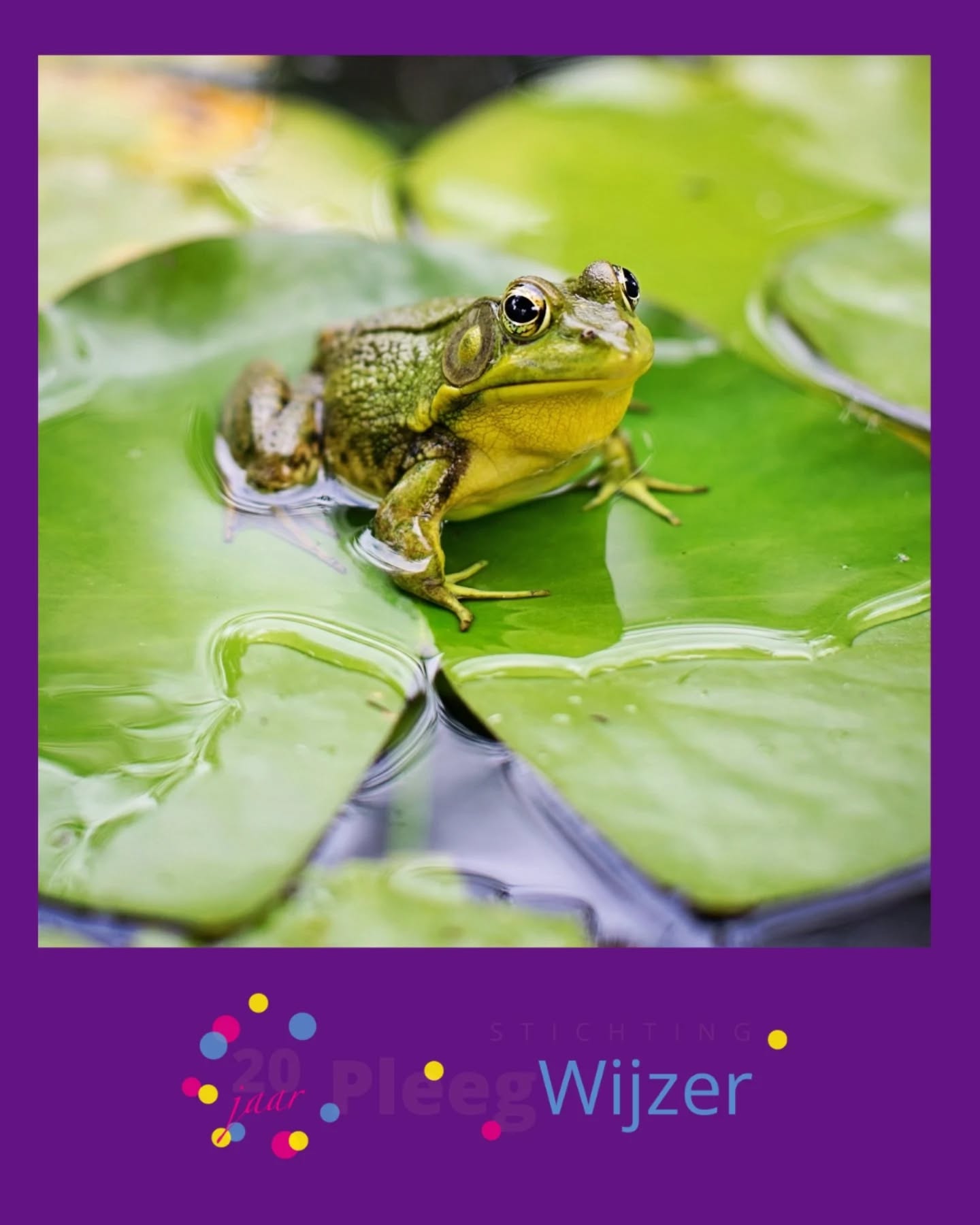 🐸 Kikker in je bil!

Wat kwamen er online leuke 1 april grappen voorbij! 

Heb jij 1 april grap uitgehaald of ben je er zelf ingetrapt? 👀